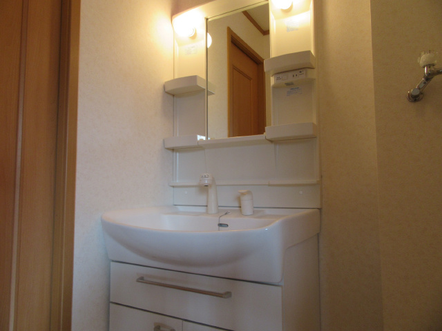 シャンプードレッサー