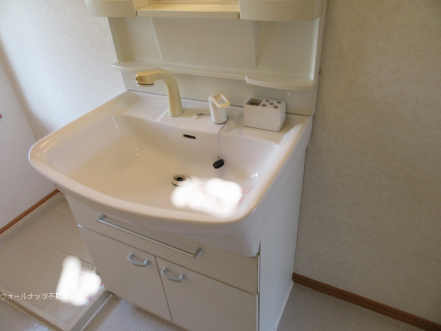 シャンプードレッサー